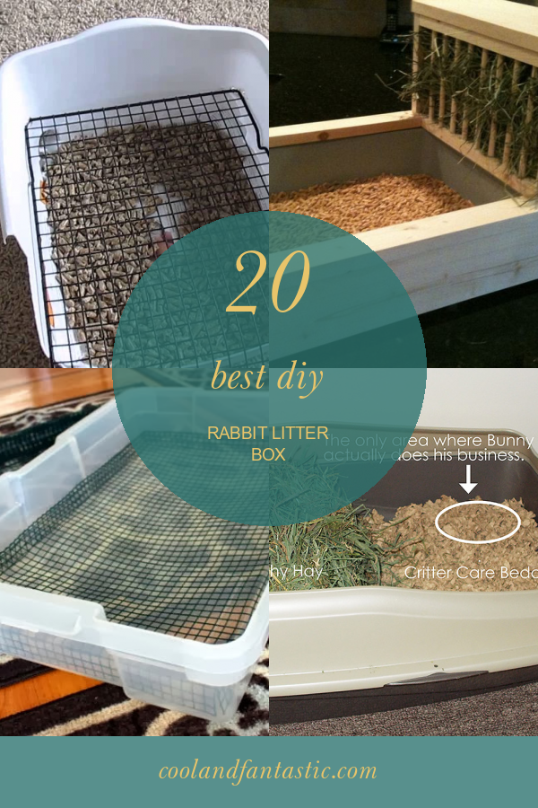 20 Best Diy Rabbit Litter Box - Home, Family, Style and Art Ideas